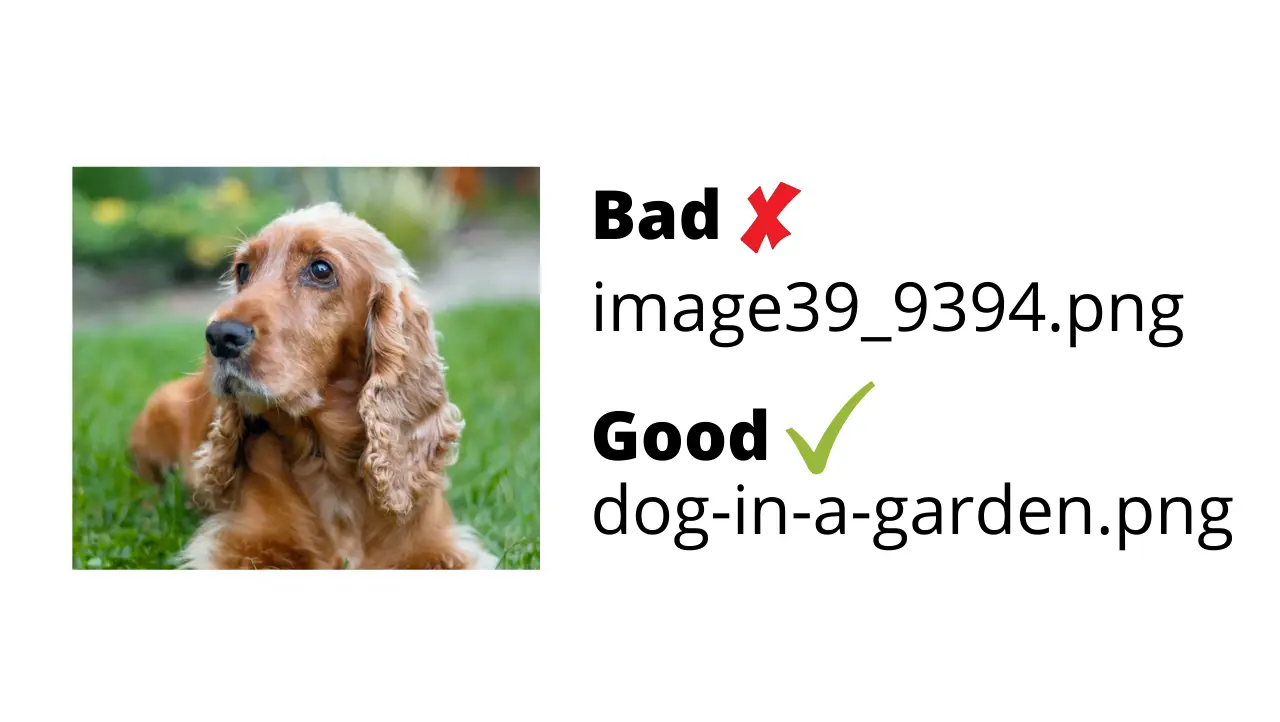 A comparison between a good file name (dog-in-a-garden.png) and a bad file name (image39_9394.png) adjacent to a picture of a dog.