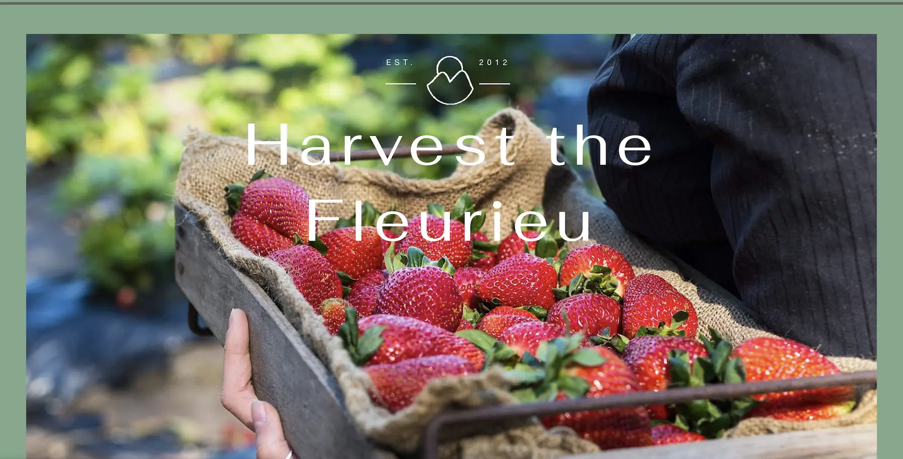 The website hero from the original Harvest the Fleurieu website created by Allis with Wix.