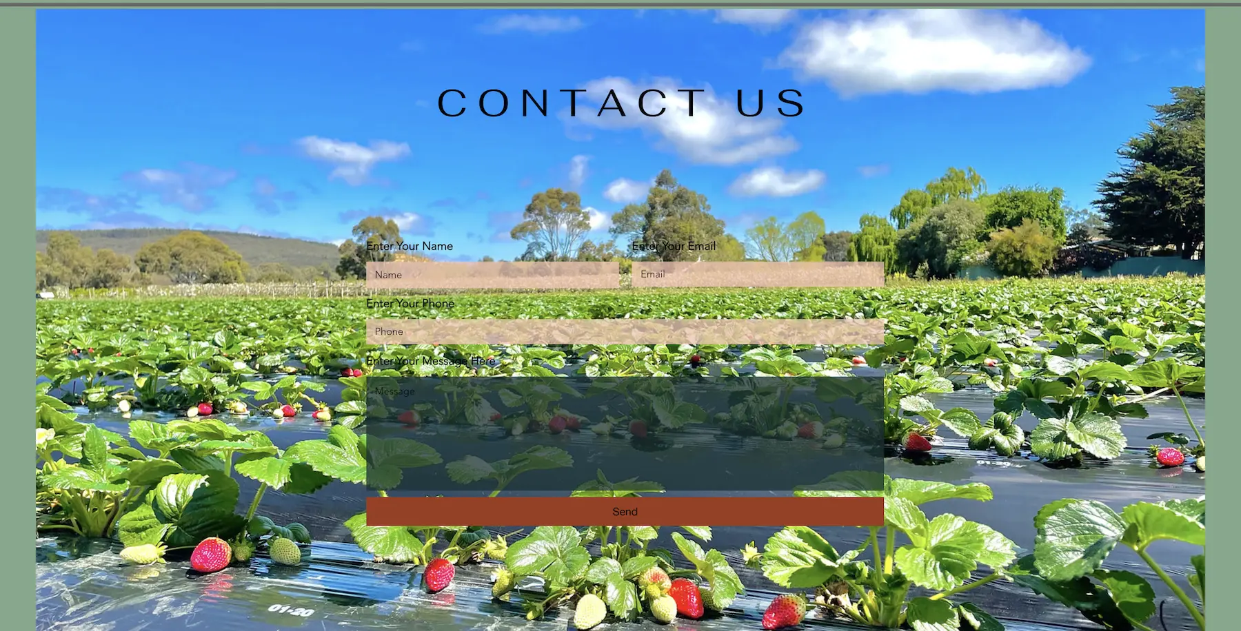 The website contact us from the original Harvest the Fleurieu website created by Allis with Wix.